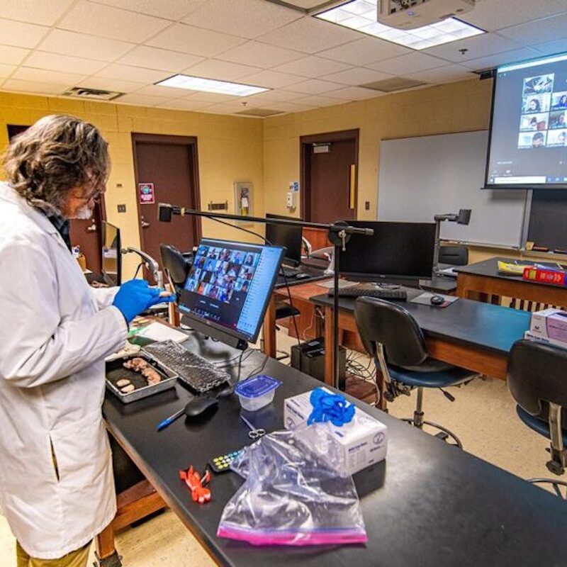 Program and Advising · Psychology · Lafayette College